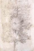 Claude Lorrain A Tree Trunks (mk17) USA oil painting reproduction